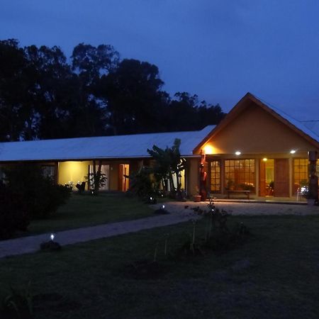 Cabanas Rapa Nui Orito هانجا روا المظهر الخارجي الصورة